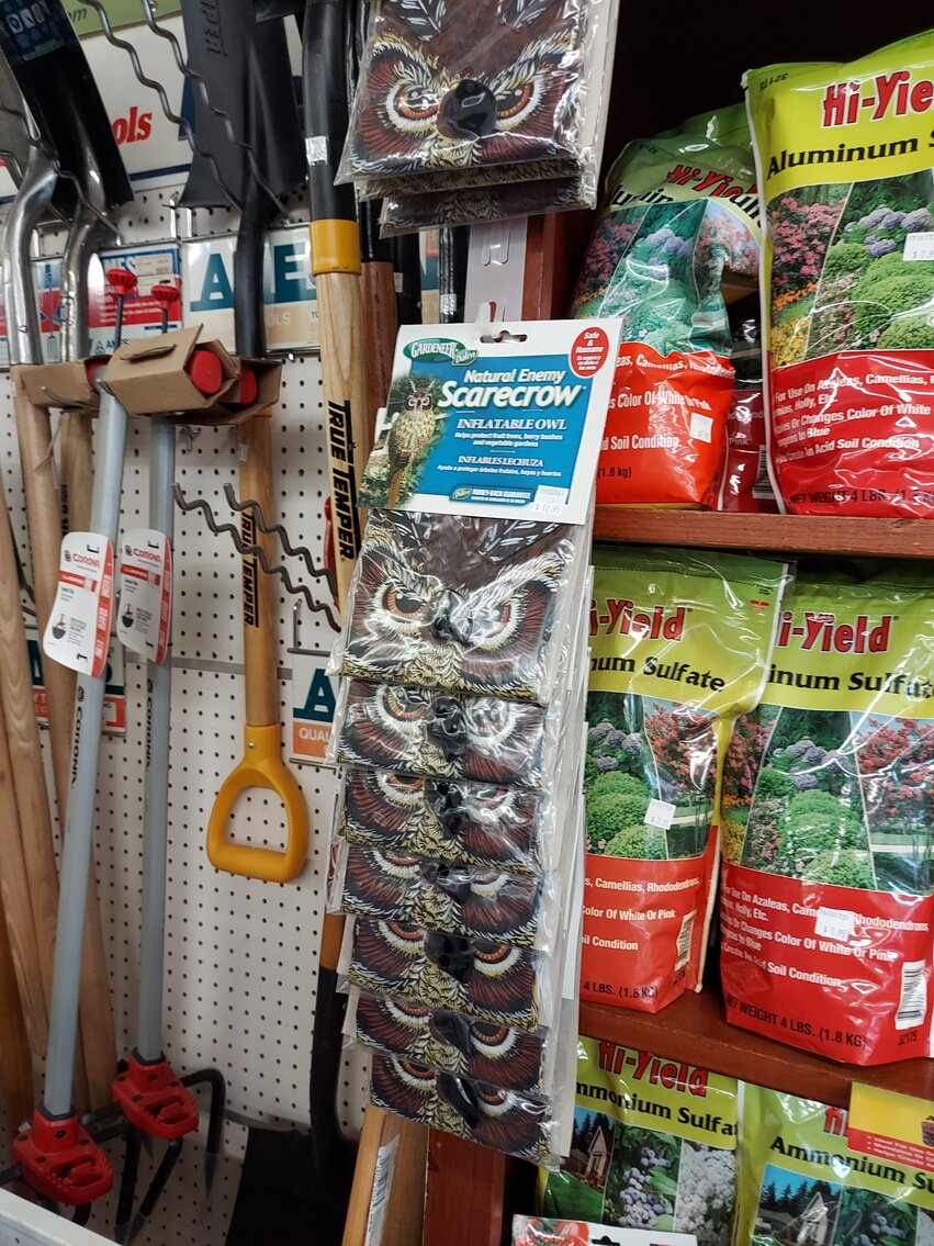 Image for Lawn & Garden/Hardware Auction