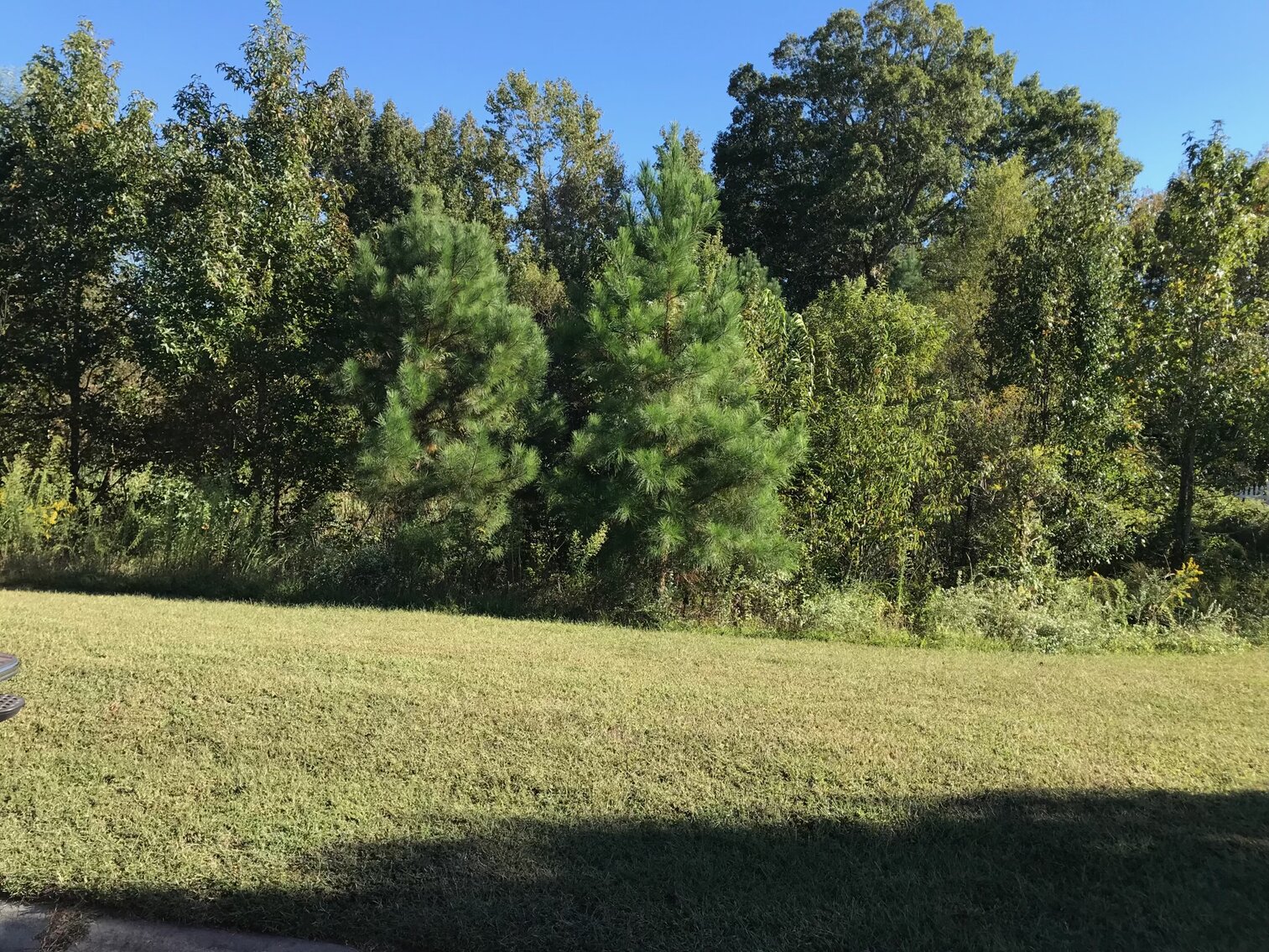 Image for Oct. 20th - Nov. 3rd, 2022 Isle of Wight & Southampton County Non-Judicial Tax Auction