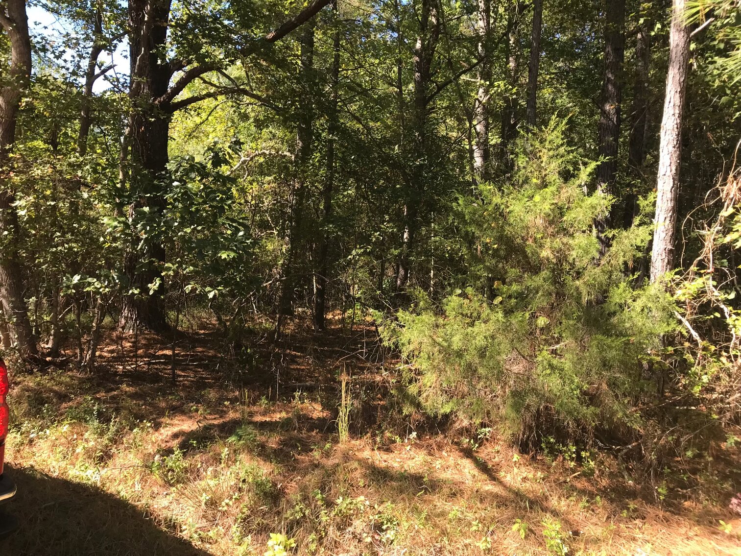 Image for Oct. 20th - Nov. 3rd, 2022 Isle of Wight & Southampton County Non-Judicial Tax Auction