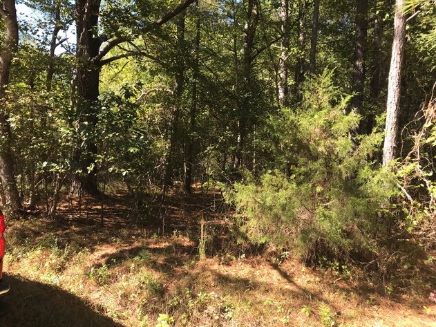 Image for Oct. 20th - Nov. 3rd, 2022 Isle of Wight & Southampton County Non-Judicial Tax Auction