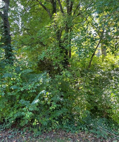 Image for Fairfax County, VA Sale of Tax Delinquent Real Estate