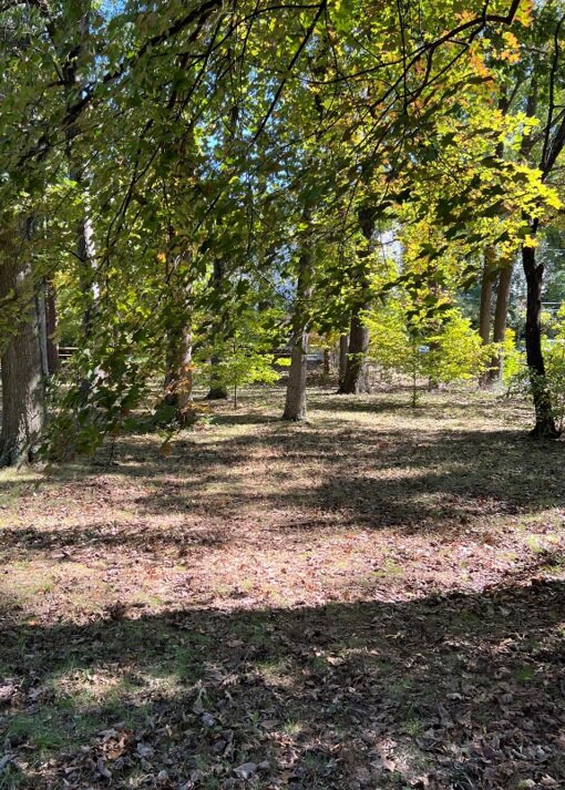 Arlington County, VA Sale of Tax Delinquent Real Estate