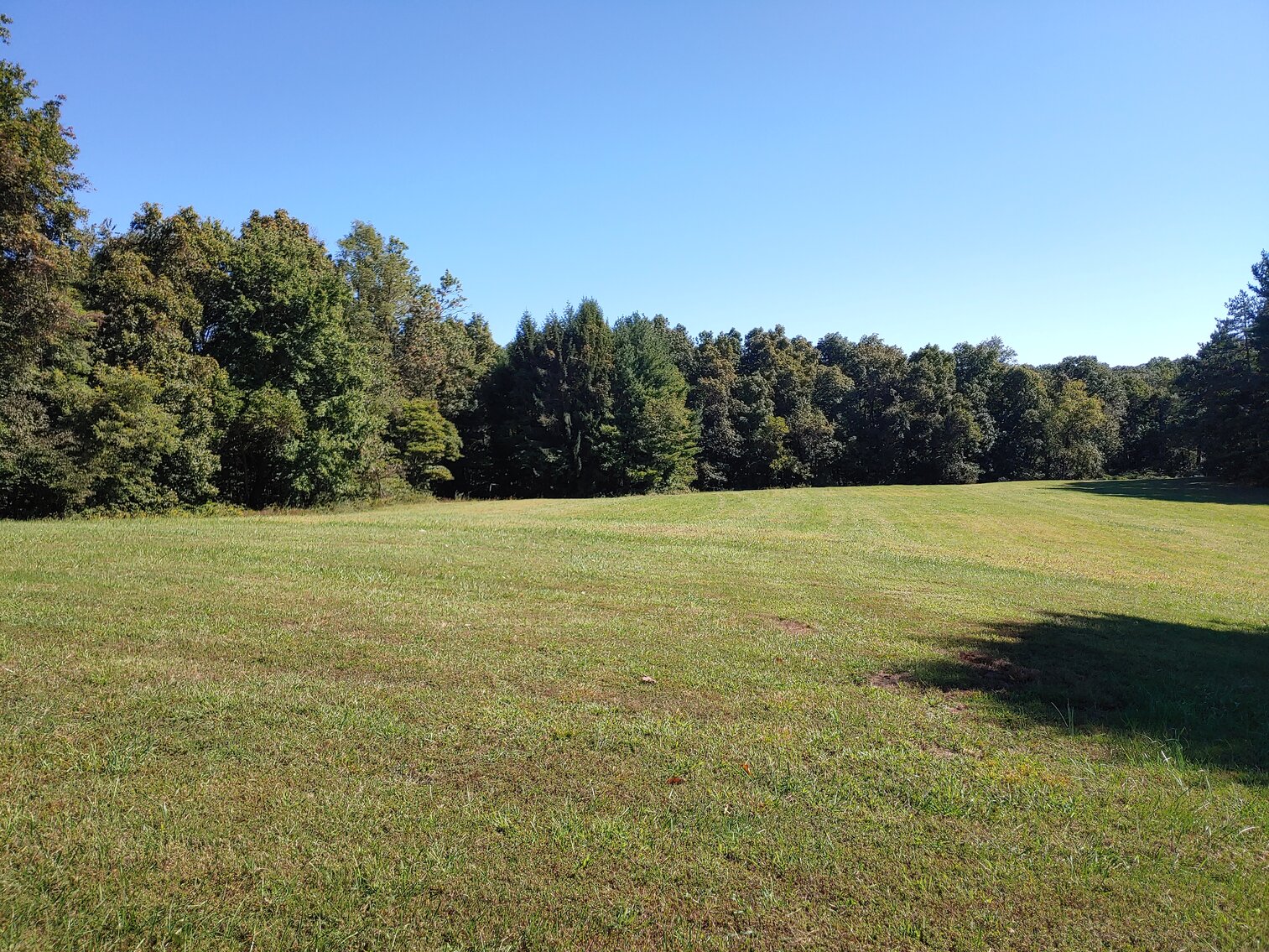 Image for 50.56 ACRE FARM KNOWN AS “BIG BRANCH”  - 4 BR, 2.5 BA 2-STORY CUSTOM HOME W/ 2-CAR ATT GARAGE & 4-BAY COMMERCIAL SHOP/BUILDING 2008 JOHN DEERE 4520 TRACTOR/LOADER W/ CAB; 2011 DEERE 855D GATOR; TOOLS/EQUIPMENT/HOUSEHOLD ITEMS
