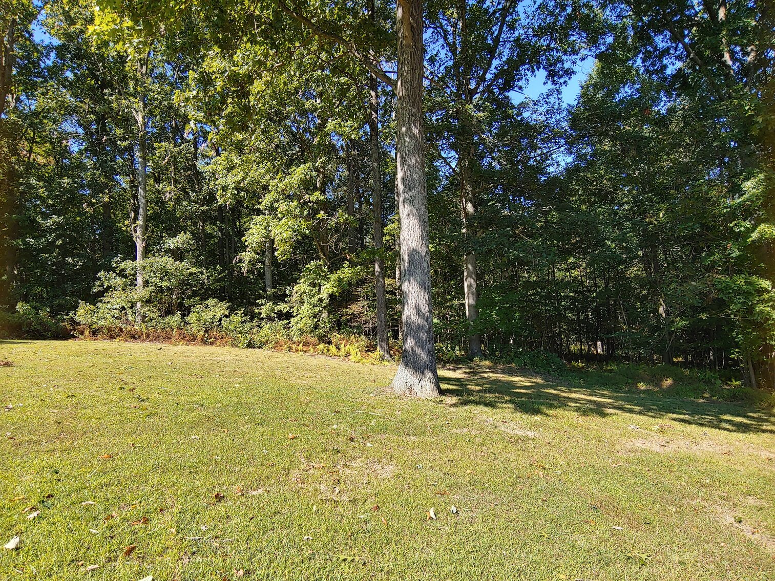 Image for 50.56 ACRE FARM KNOWN AS “BIG BRANCH”  - 4 BR, 2.5 BA 2-STORY CUSTOM HOME W/ 2-CAR ATT GARAGE & 4-BAY COMMERCIAL SHOP/BUILDING 2008 JOHN DEERE 4520 TRACTOR/LOADER W/ CAB; 2011 DEERE 855D GATOR; TOOLS/EQUIPMENT/HOUSEHOLD ITEMS