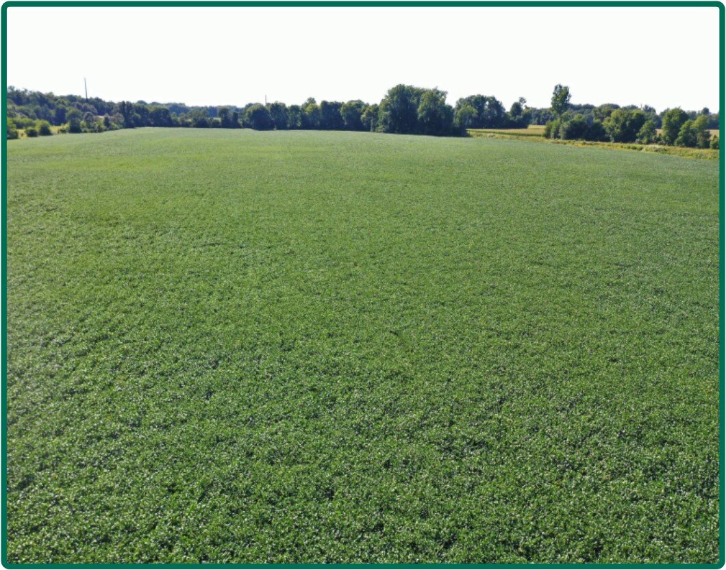 Image for Closed - Lee Co., IL - 231.55 Ac., m/l (070-0088-01)