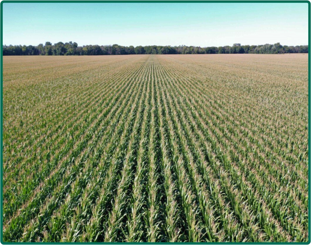 Image for Closed - Lee Co., IL - 231.55 Ac., m/l (070-0088-01)