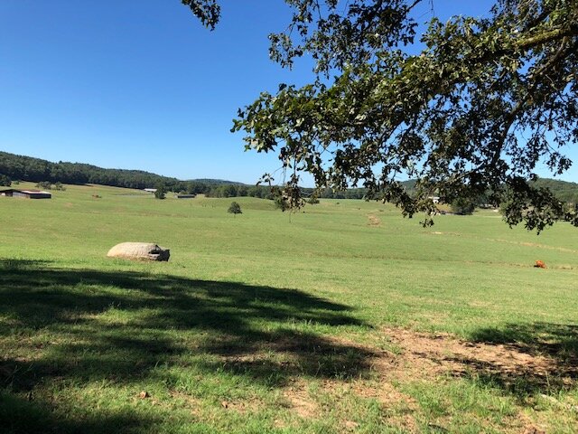 Image for 230 Acre Picturesque Farm - Birmingham, Alabama