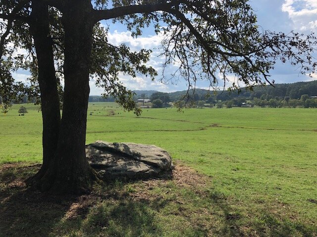 Image for 230 Acre Picturesque Farm - Birmingham, Alabama