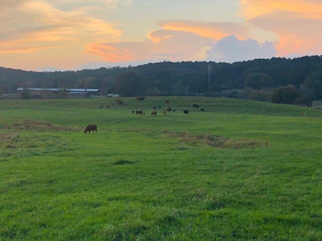 Image for 230 Acre Picturesque Farm - Birmingham, Alabama