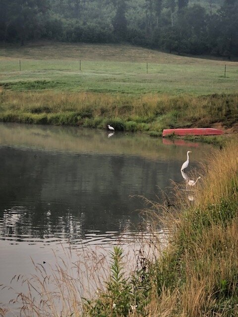 Image for 230 Acre Picturesque Farm - Birmingham, Alabama