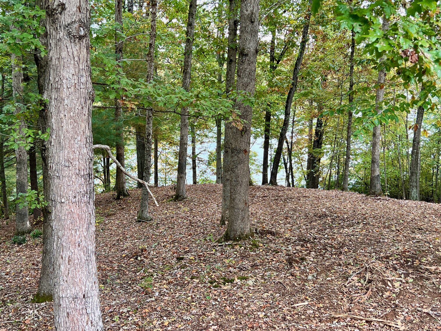 Image for 3 BR/2.5 BA Waterfront Home w/30.5 +/- Acres on Lake Orange