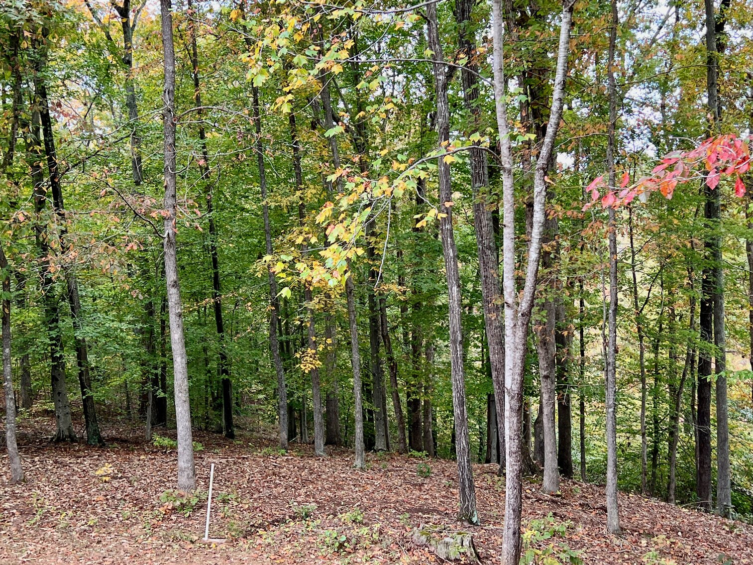 Image for 3 BR/2.5 BA Waterfront Home w/30.5 +/- Acres on Lake Orange