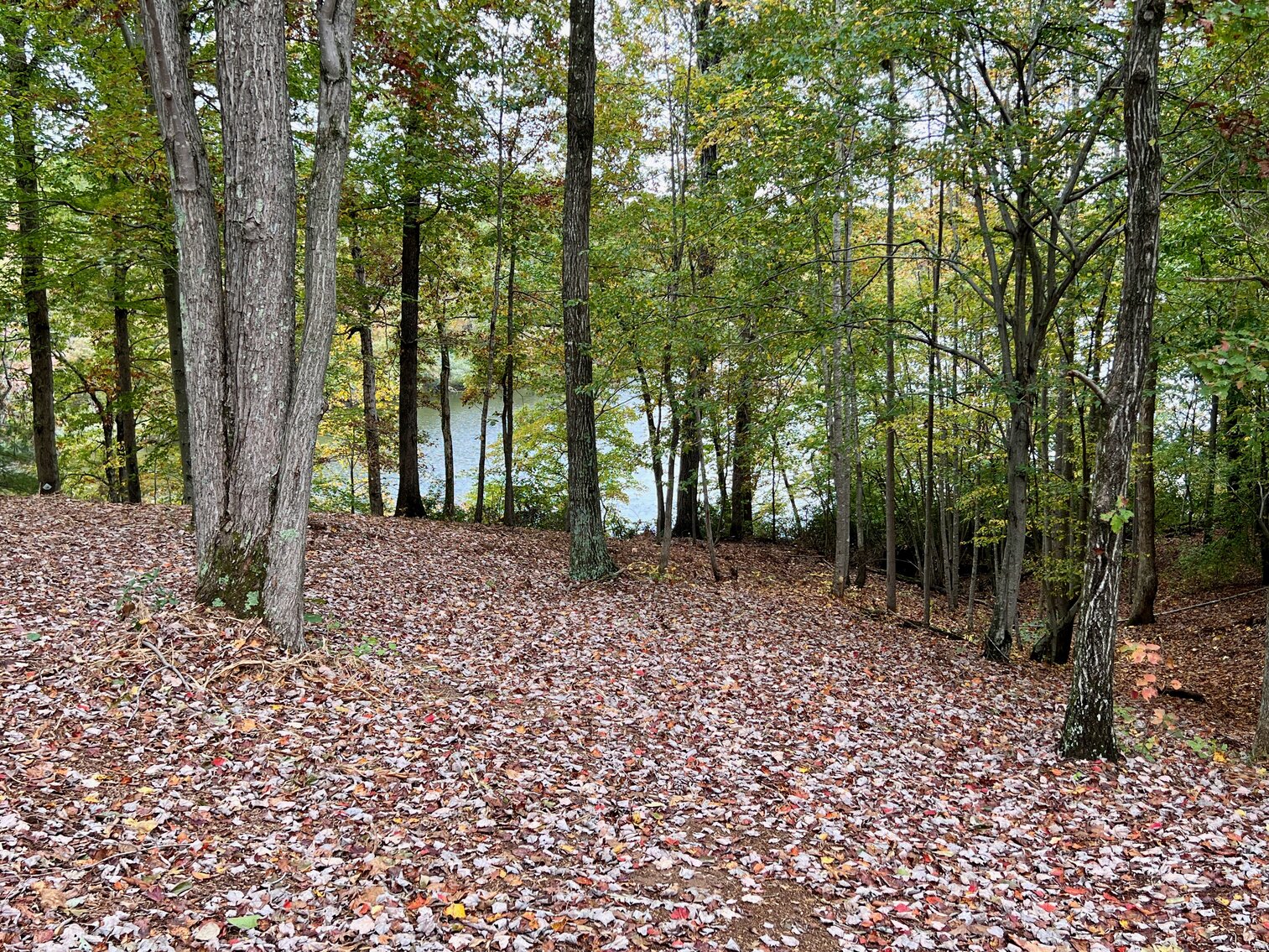 Image for 3 BR/2.5 BA Waterfront Home w/30.5 +/- Acres on Lake Orange
