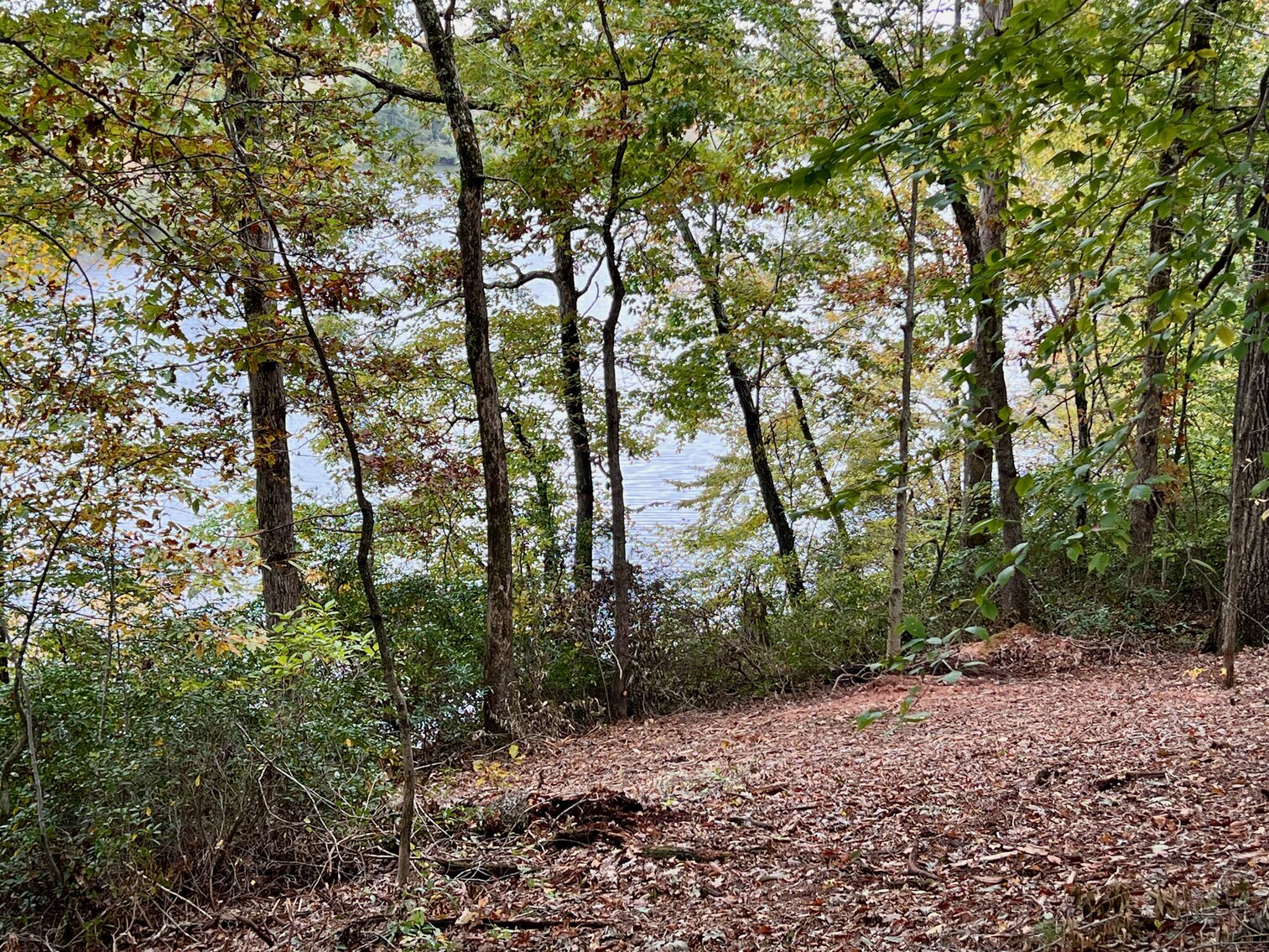 Image for 3 BR/2.5 BA Waterfront Home w/30.5 +/- Acres on Lake Orange