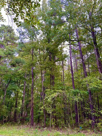 Image for Charlotte County, VA Sale of Tax Delinquent Real Estate