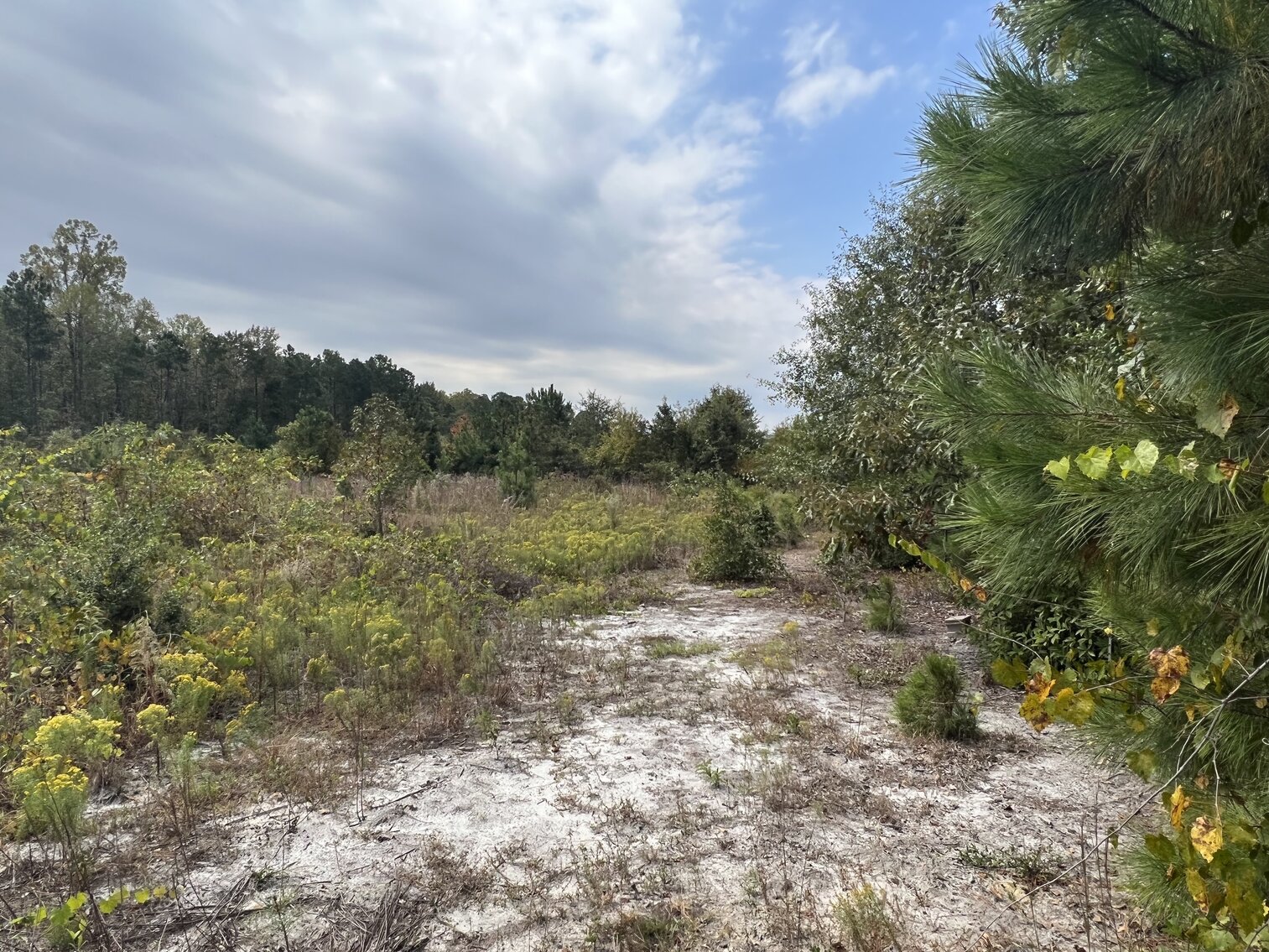 Image for 11.86 acres on US Highway 13 S, Goldsboro, NC