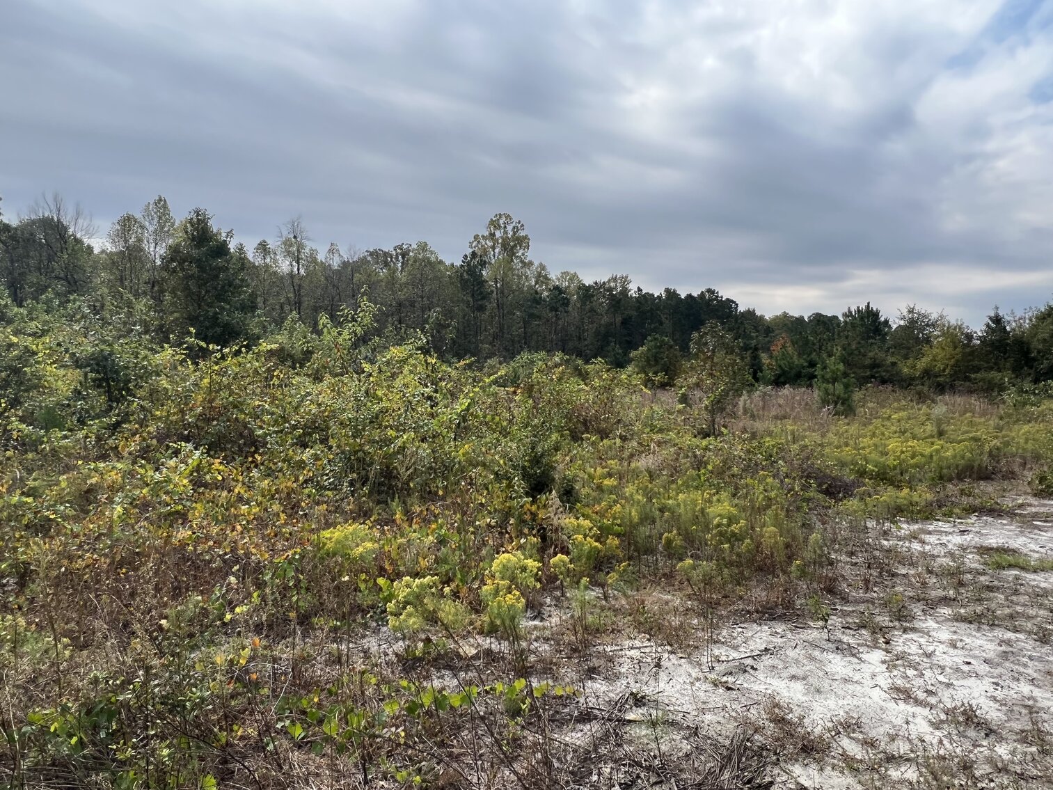 Image for 11.86 acres on US Highway 13 S, Goldsboro, NC