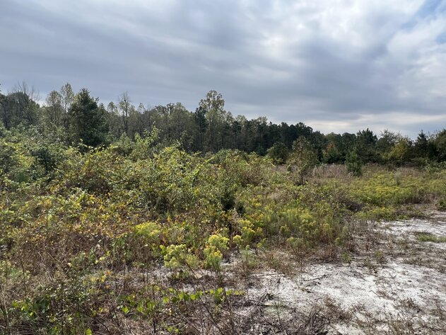 Image for 11.86 acres on US Highway 13 S, Goldsboro, NC