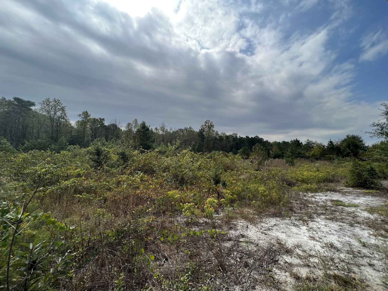 Image for 11.86 acres on US Highway 13 S, Goldsboro, NC