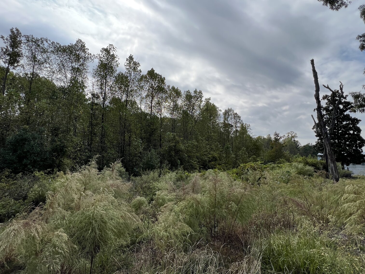 Image for 11.86 acres on US Highway 13 S, Goldsboro, NC