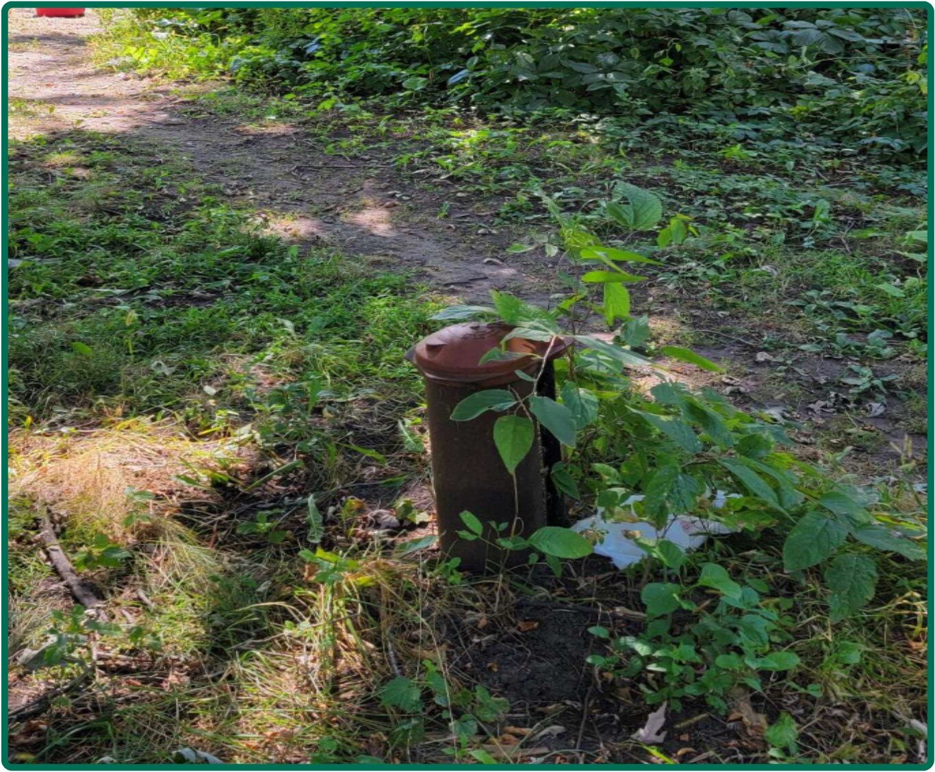 Image for Closed - Le Sueur Co., MN - 169.29 Ac., m/l (190-0144-01)