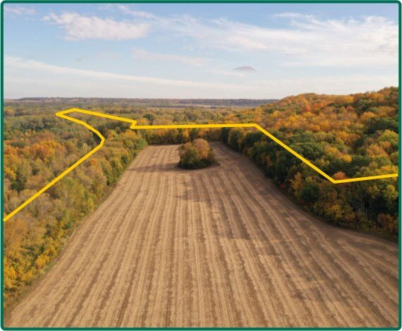 Image for Closed - Le Sueur Co., MN - 169.29 Ac., m/l (190-0144-01)