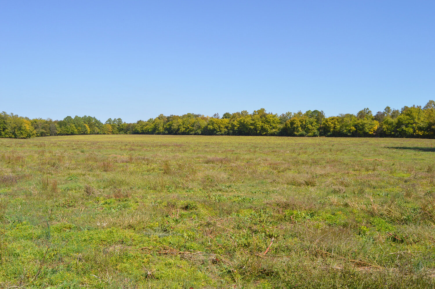 Image for Enterprise Road (Hwy. 166), Mt. Pleasant