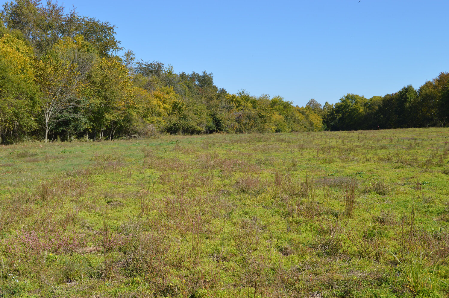 Image for Enterprise Road (Hwy. 166), Mt. Pleasant