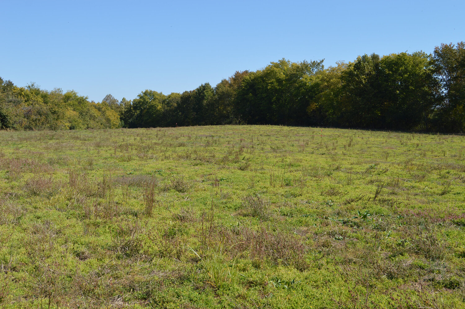 Image for Enterprise Road (Hwy. 166), Mt. Pleasant