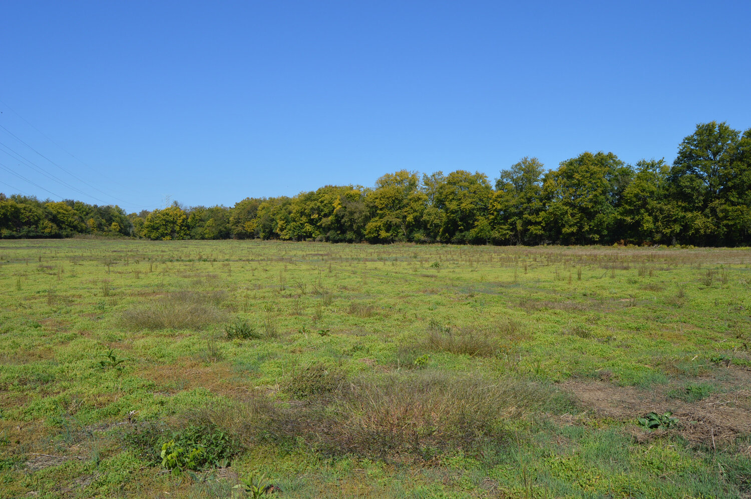 Image for Enterprise Road (Hwy. 166), Mt. Pleasant