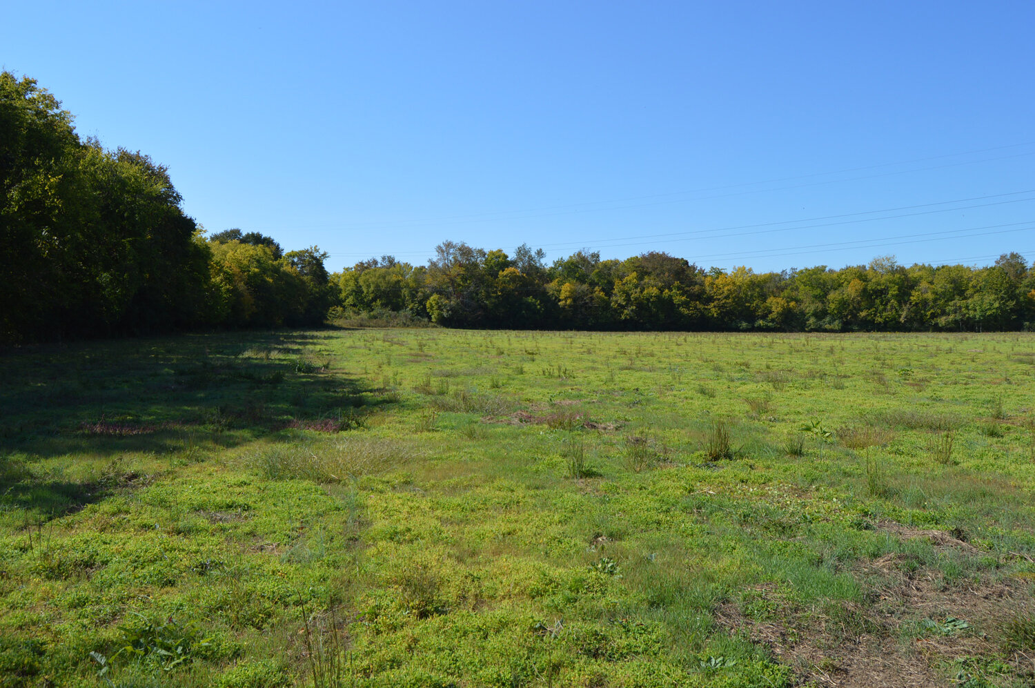 Image for Enterprise Road (Hwy. 166), Mt. Pleasant