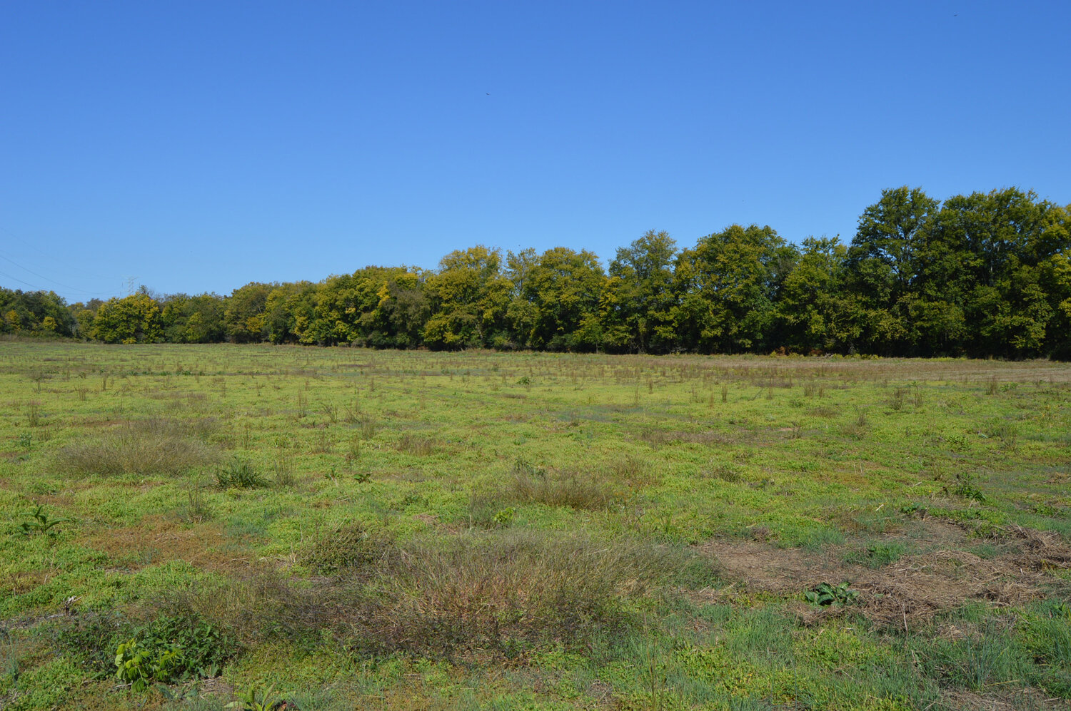 Image for Enterprise Road (Hwy. 166), Mt. Pleasant