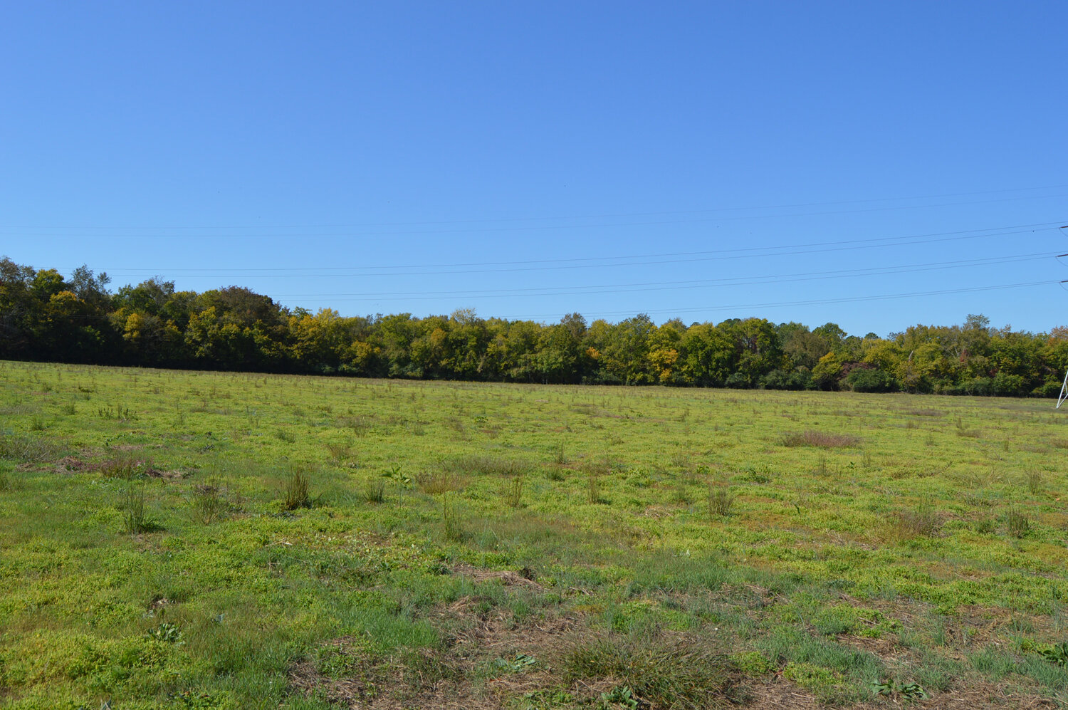 Image for Enterprise Road (Hwy. 166), Mt. Pleasant