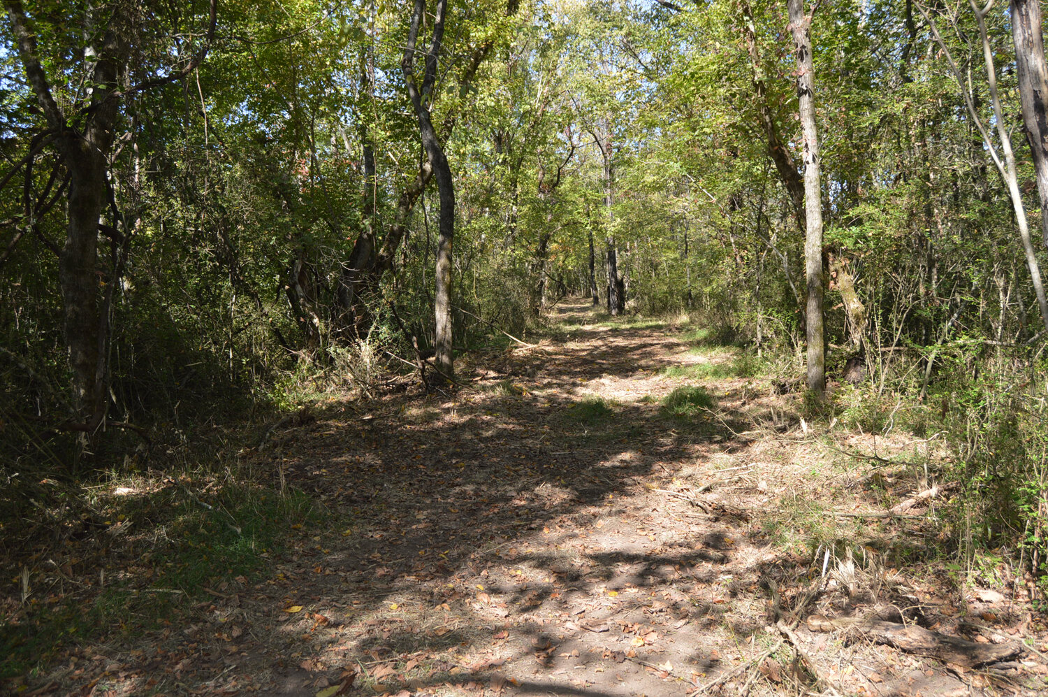 Image for Enterprise Road (Hwy. 166), Mt. Pleasant