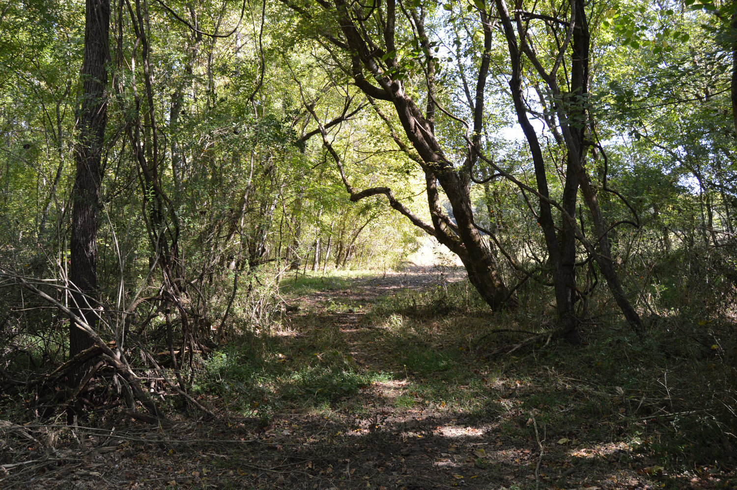 Image for Enterprise Road (Hwy. 166), Mt. Pleasant