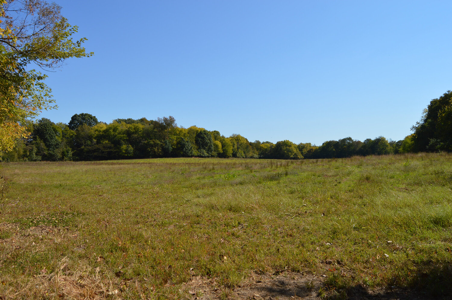 Image for Enterprise Road (Hwy. 166), Mt. Pleasant
