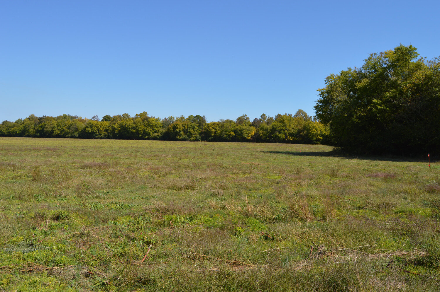 Image for Enterprise Road (Hwy. 166), Mt. Pleasant