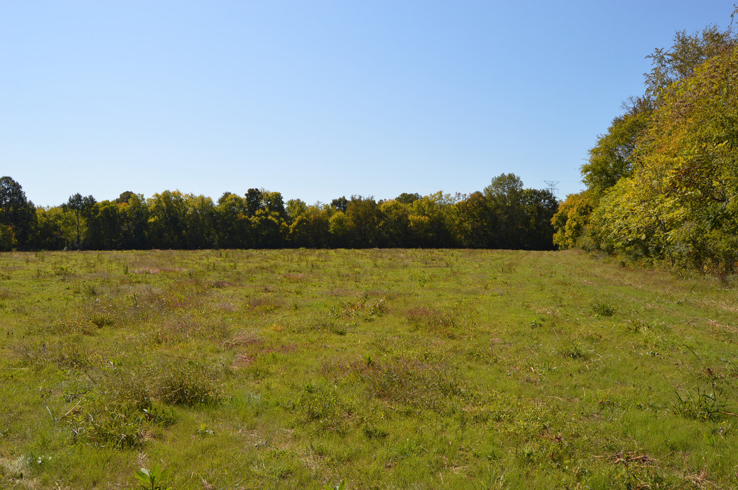 Image for Enterprise Road (Hwy. 166), Mt. Pleasant