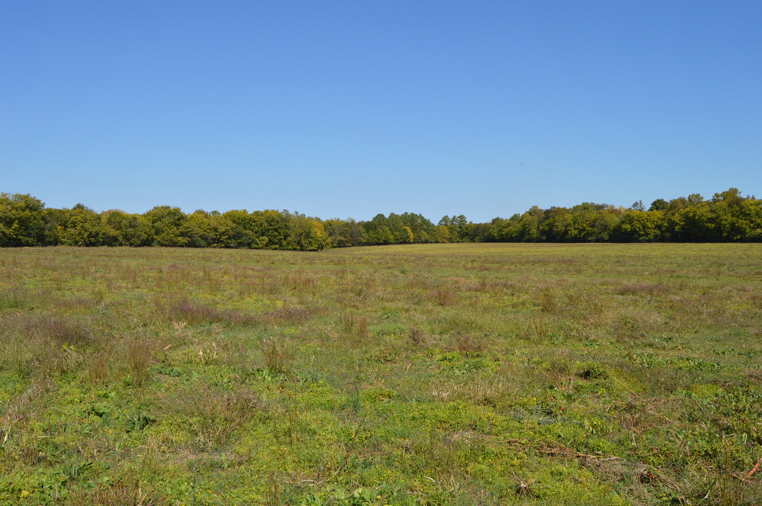 Image for Enterprise Road (Hwy. 166), Mt. Pleasant