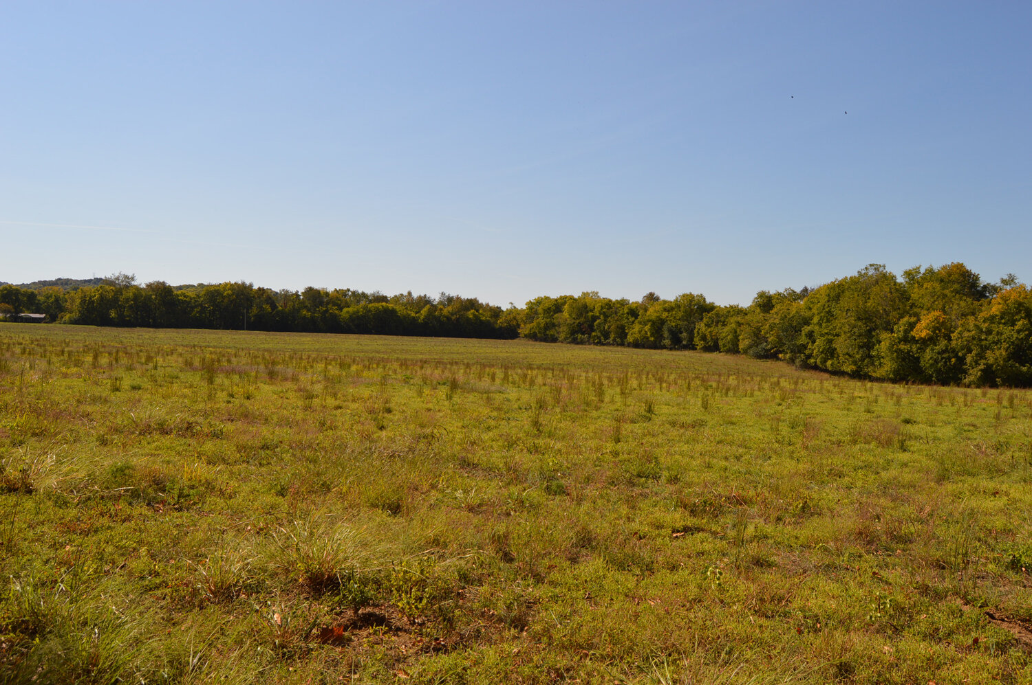Image for Enterprise Road (Hwy. 166), Mt. Pleasant