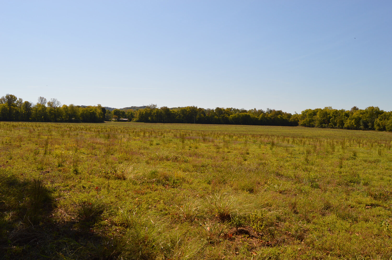 Image for Enterprise Road (Hwy. 166), Mt. Pleasant