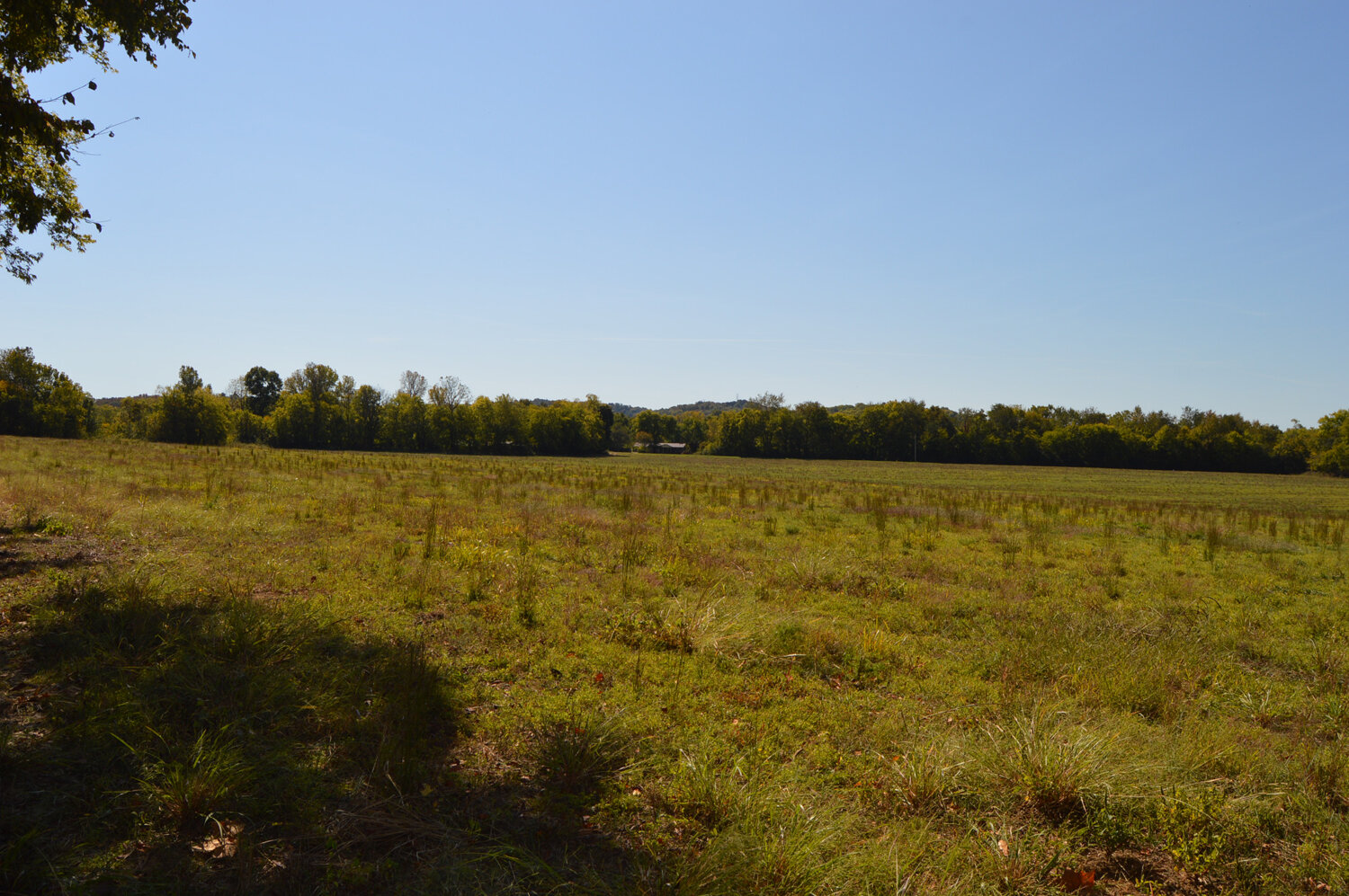 Image for Enterprise Road (Hwy. 166), Mt. Pleasant