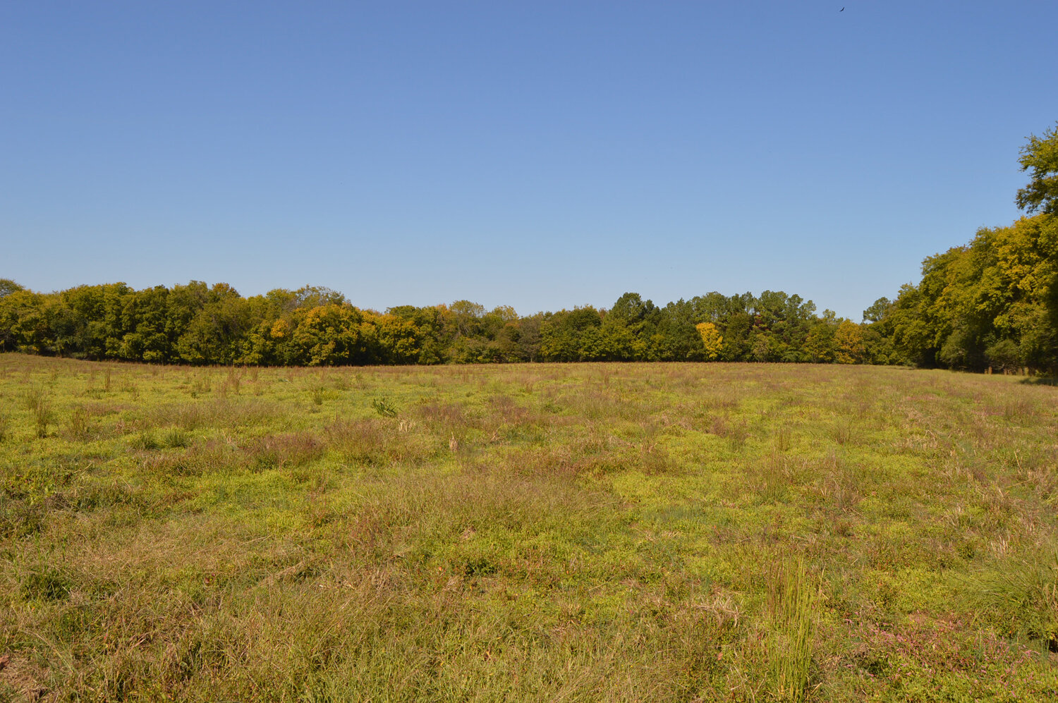 Image for Enterprise Road (Hwy. 166), Mt. Pleasant