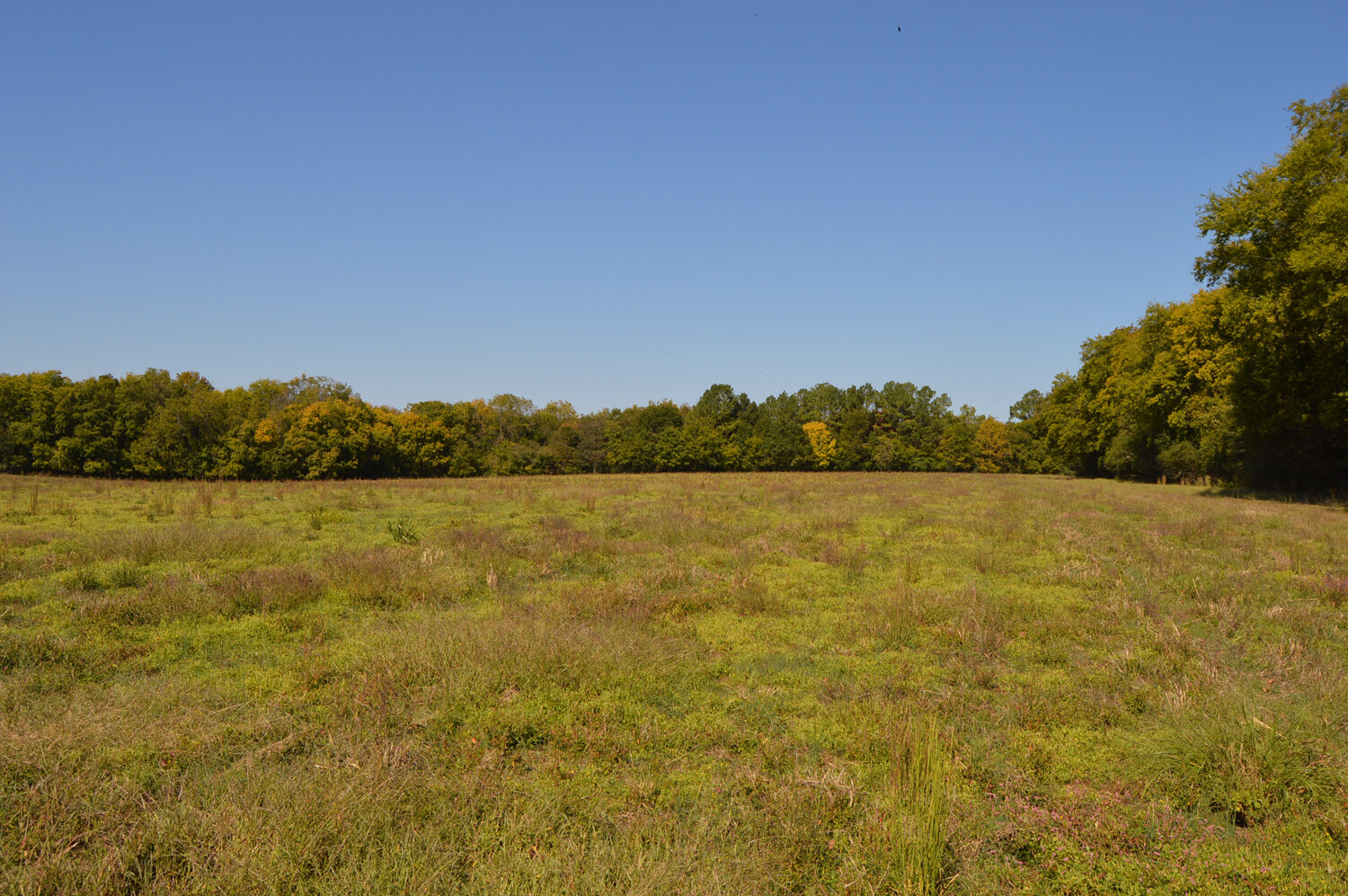 Image for Enterprise Road (Hwy. 166), Mt. Pleasant