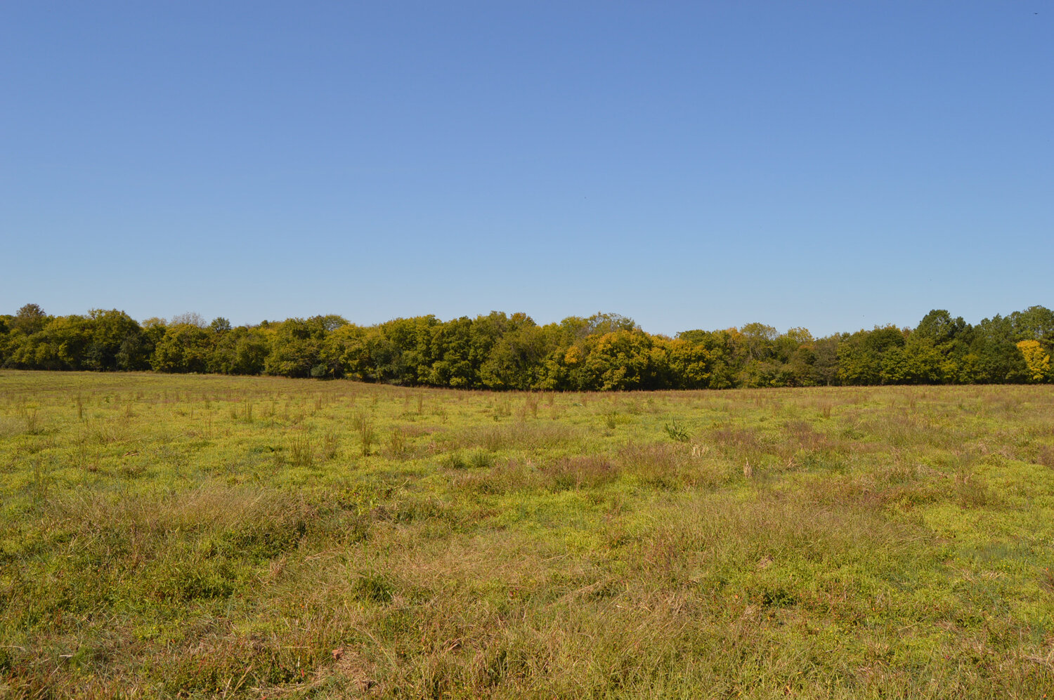Image for Enterprise Road (Hwy. 166), Mt. Pleasant