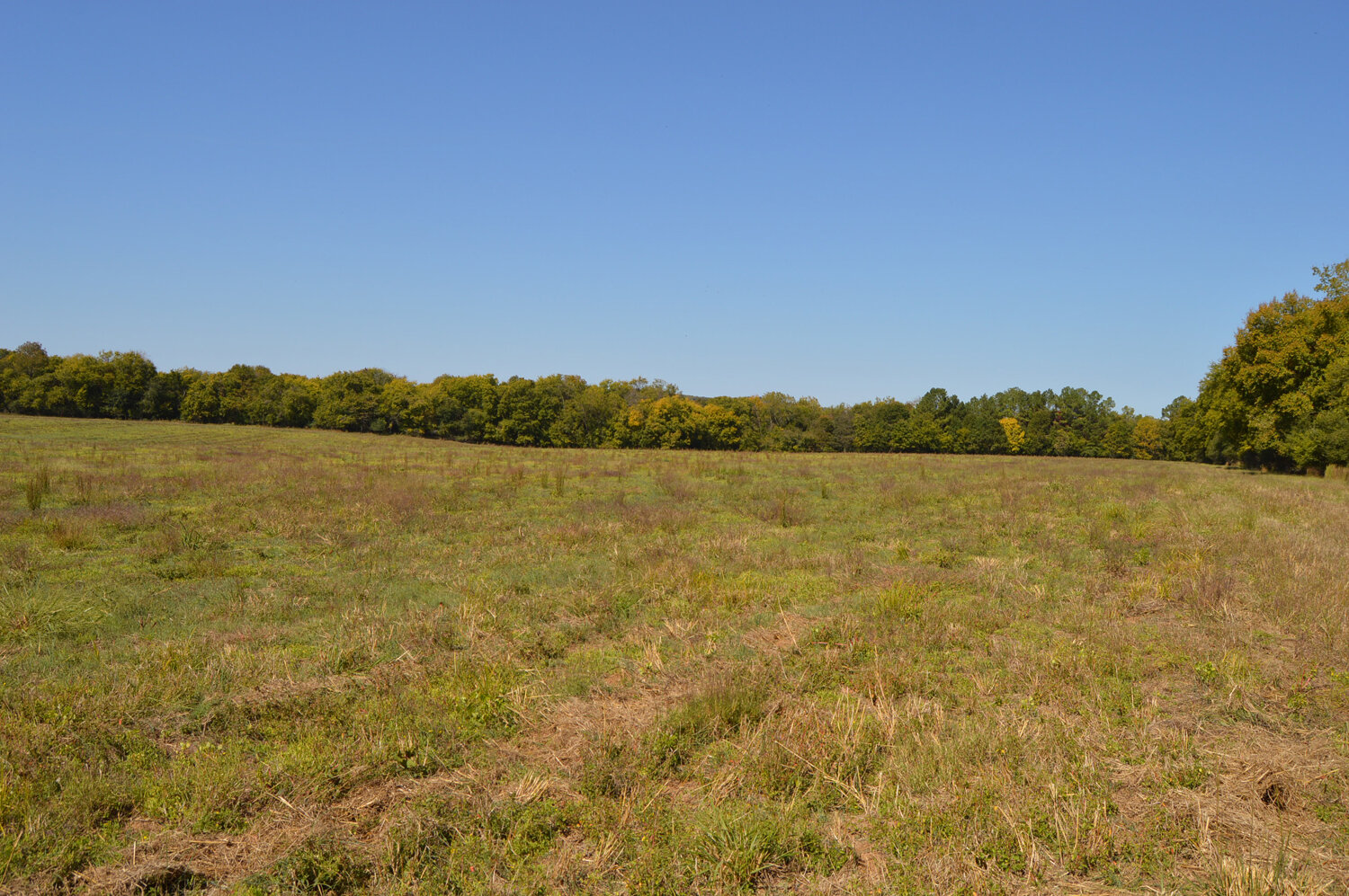 Image for Enterprise Road (Hwy. 166), Mt. Pleasant