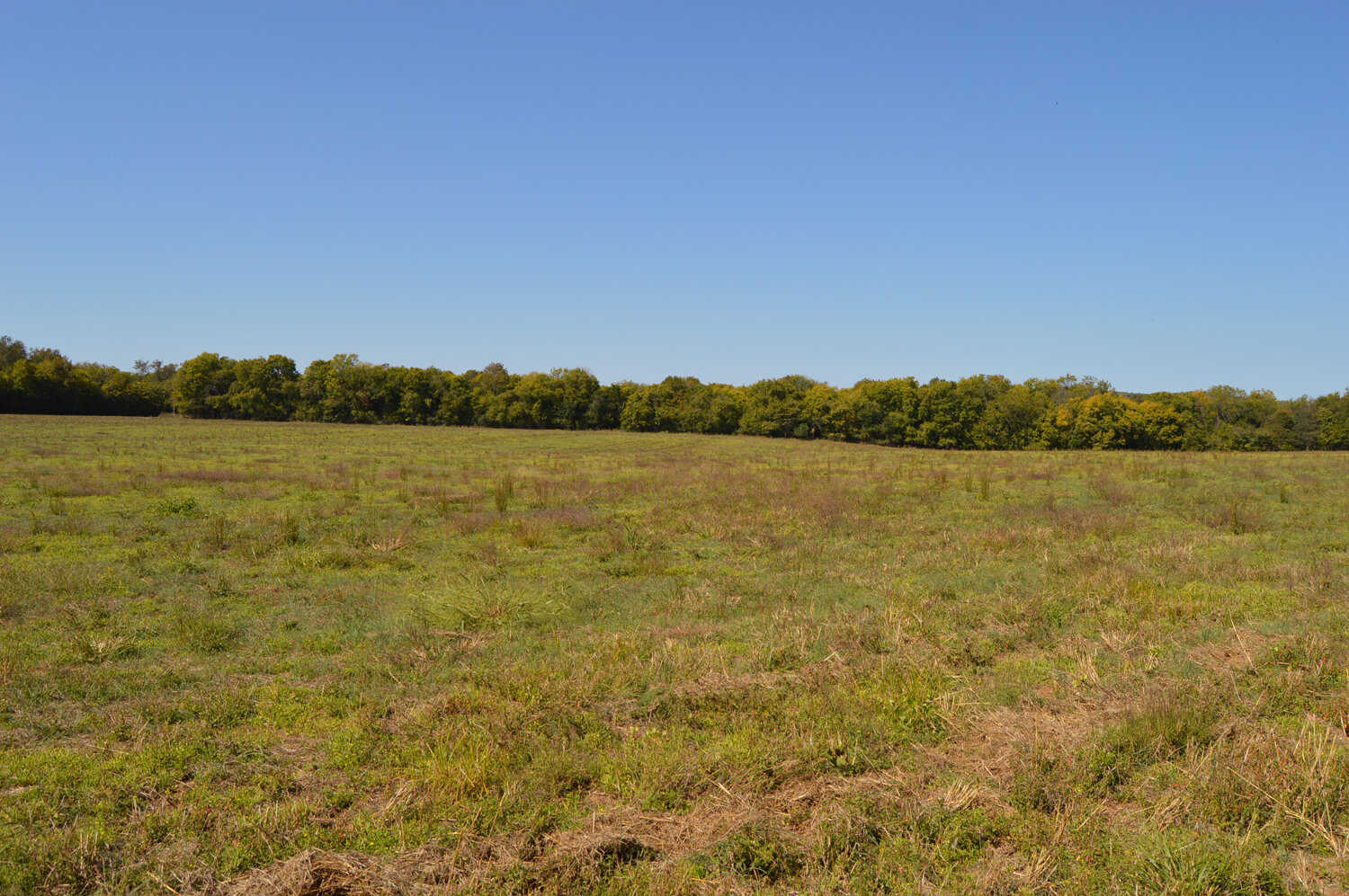 Image for Enterprise Road (Hwy. 166), Mt. Pleasant