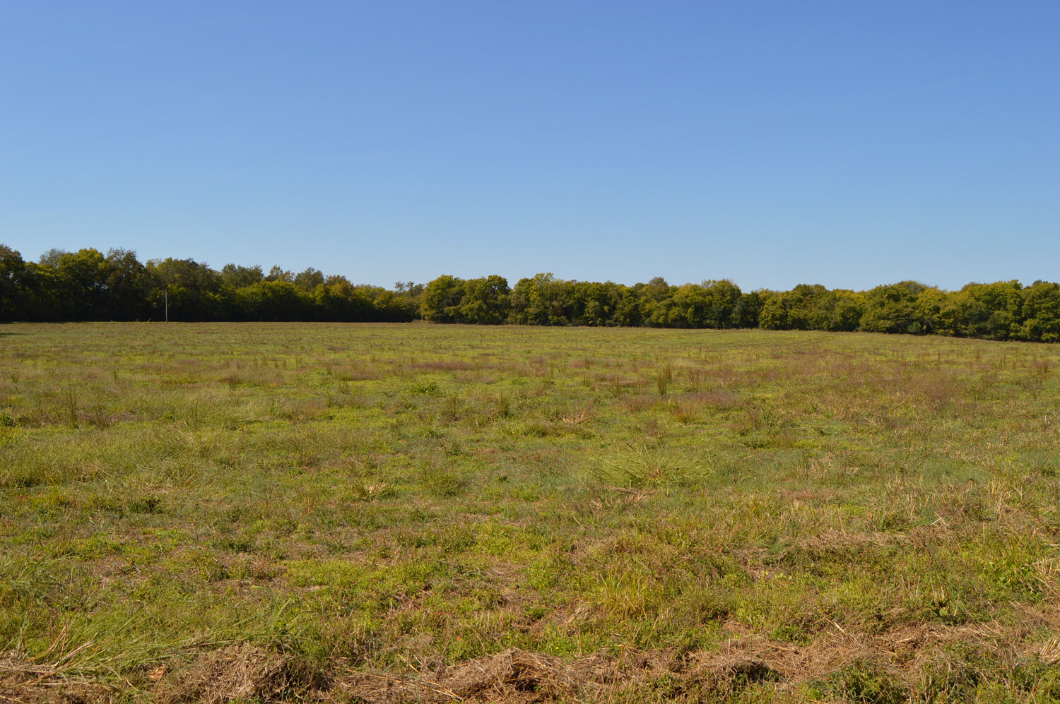 Image for Enterprise Road (Hwy. 166), Mt. Pleasant