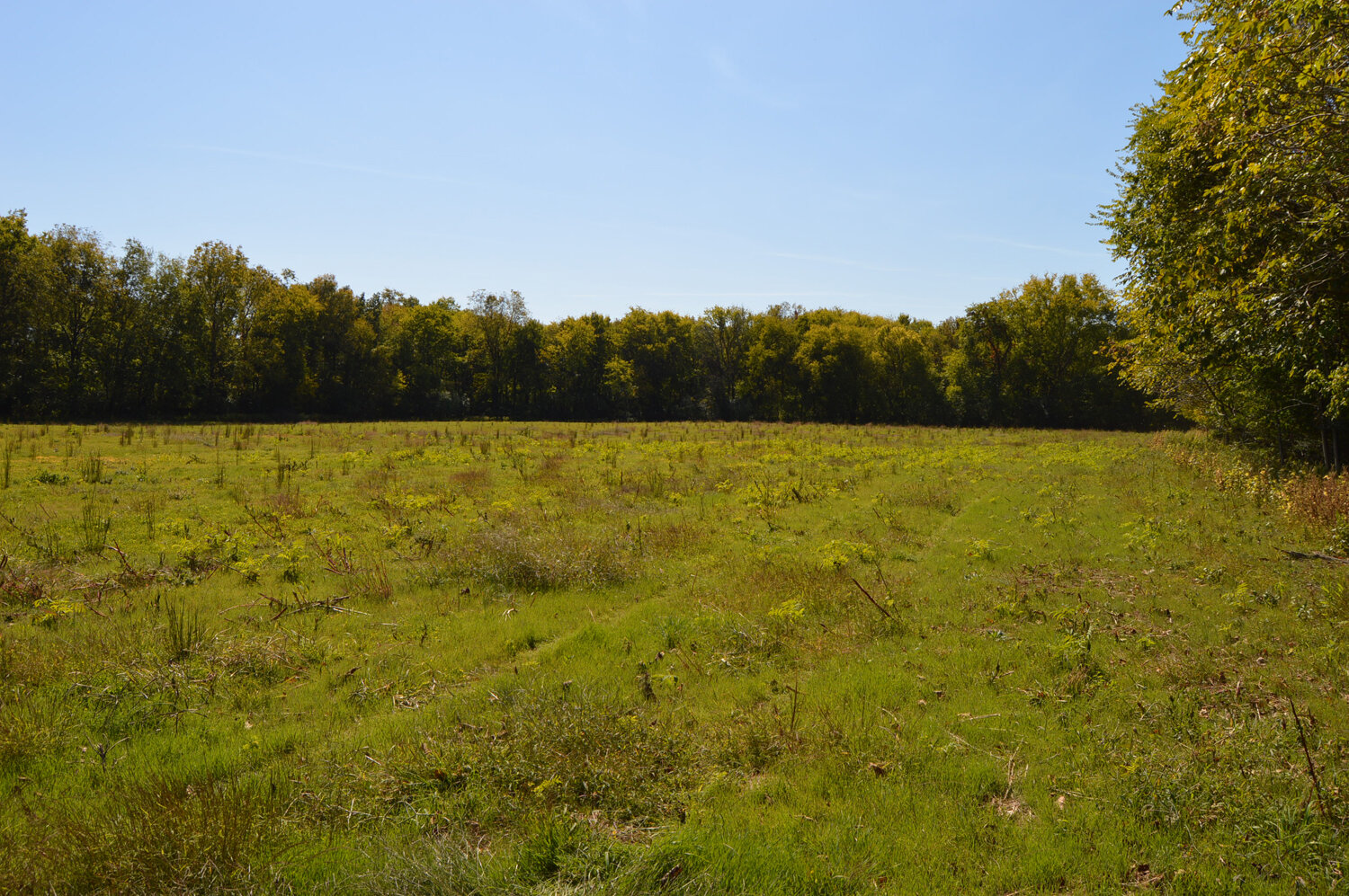 Image for Enterprise Road (Hwy. 166), Mt. Pleasant