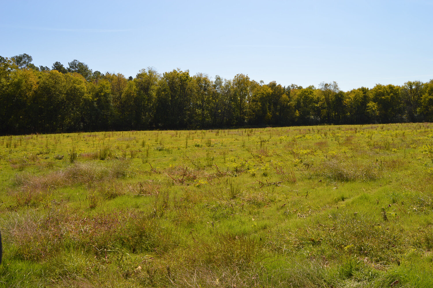 Image for Enterprise Road (Hwy. 166), Mt. Pleasant